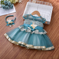 Newborn's Little Princess Party Dress
