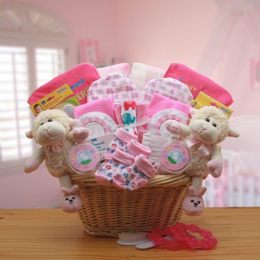 Double Delight Twins New Babies Gift Basket - Pink