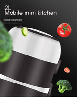 2L Mini Portable Rice Cooker - 2/3 Layers Lunch Box - seasonBlack