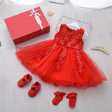 Newborn's Princess Birthday Dress Set in Gift Box