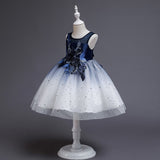 Baby Girls Elegant Sleeveless Dress