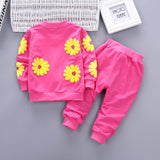 Baby Girl Clothes Infant Sets