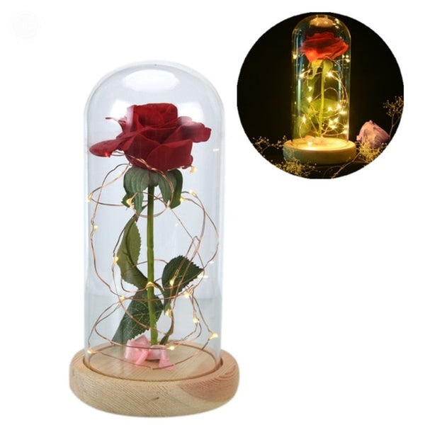 Valentines Gift - Red Rose w/ Fallen Petals in a Glass Dome - seasonBlack